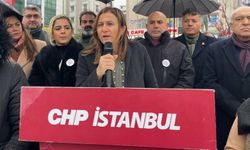 Demokrasi hakkımız gasbedildi: Türkan Elçi’den toplumsal barış çağrısı