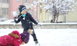 Yoğun kar yağışı nedeniyle 20 Şubat'ta birçok ilde okullar tatil edildi