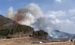 Japonya'da orman yangını: 2 bin kişiye tahliye uyarısı yapıldı