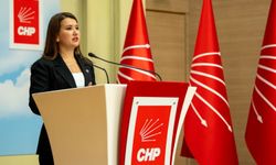 CHP İzmir vekili Gökçen'den kayyum tepkisi