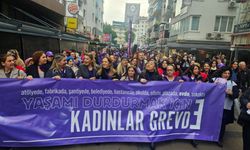 Kadınlar 7 Mart'ta greve gidiyor