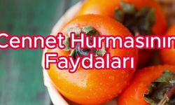 Cennet hurmasının faydaları ve zararları: İşte bilmeniz gerekenler