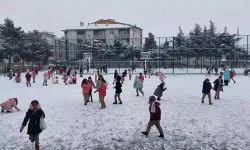 Kar yağışı nedeniyle bazı illerde eğitime ara verildi