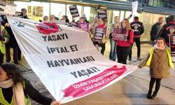 Hayvan Hakları Savunucularından ‘Katliam Yasası’na Karşı Adalet Çağrısı