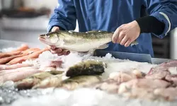 Mart ayında hangi balıklar yenir? İşte Mart ayında tüketilmesi önerilen balıklar...