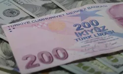 200 lira yıllara yenik düştü