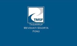 TMSF açılımı nedir, görevleri neler? TMSF ne işe yarar?