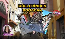 Küllerinden doğacak