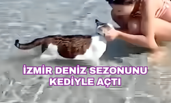 Çeşme'de bir kedinin deniz keyfi