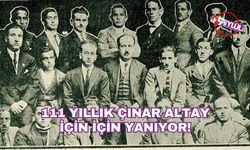 111 yıllık çınar Altay için için yanıyor!