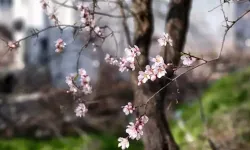 Hıdırellez ne zaman? Hıdırellez'de neler yapılır, ritüelleri, gelenekleri nedir?