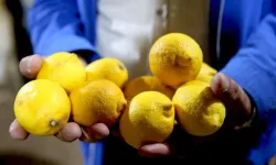 İstanbul'da nisan ayında fiyatı en çok artan ürün limon oldu!