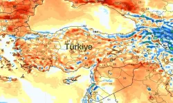 81 İlde sivrisinek alarmı: Yaz tehdidi başlıyor!