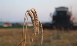 Çiftçilere 5,1 milyar lira destek ödemesi bugün yapılıyor!