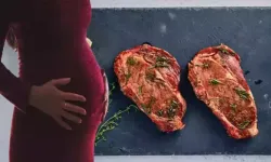 Gebelikte Et Tüketimine Dikkat! Toksoplazma Riski ve Sağlıklı Pişirme Yöntemleri