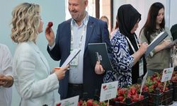 'Türkiye, Emiralem çileğini çok sevdi'