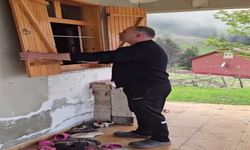 Aç kalan ayılar, belediye başkanının yayla evine girdi