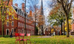 Harvard Üniversitesi'nden Trump yönetimine dava!