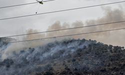 İzmir'de zeytinlik alanda korkutan yangın!