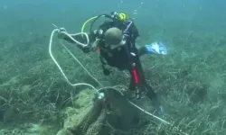 İzmir'de denizden 1,5 ton ağ çıkarıldı!