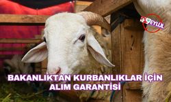 Bakanlıktan Kurbanlıklar İçin Alım Garantisi