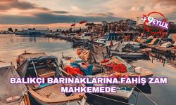 Balıkçı barınaklarına fahiş zam mahkemede