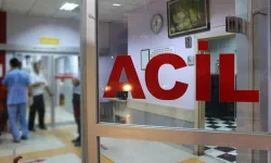 Mantar zehirlenmesi: 3 çocuk yoğun bakımda!