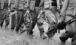 En çok merak edilen soru: PKK’lı teröristler hangi ülkelere gidecek?