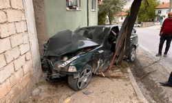 Ehliyetsiz sürücü, polisten kaçarken ağaca çarparak yaralandı