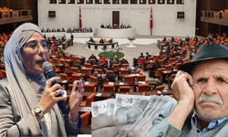 Paşa torunu emekli maaşlarını övdü