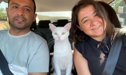 İkinci şans: Eşinin böbreğiyle hayata döndü