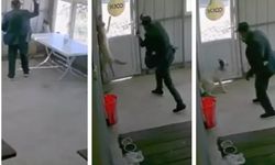 81 yaşındaki adamın köpeğe yaptıklarına bak!