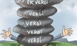 Vatandaş Hazine'ye çalıştı