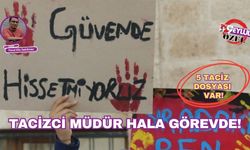Tacizci İlçe Milli Eğitim Müdürü hala görevde!
