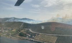 Urla'da makilik yangını