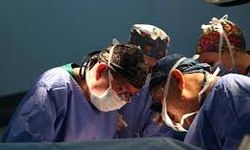 Prof. Dr. Burak Işık: 35 bin kişi organ nakli bekliyor