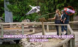 İzmir Doğal Yaşam Parkı’nda bebek heyecanı