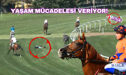 Jokey Mertcan Çelik, yaşam savaşı veriyor!