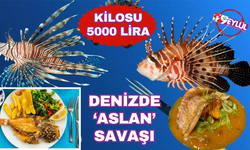 İzmir Körfezi'ni istila etmişti... Denizde 'Aslan' avı