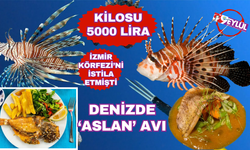 İzmir Körfezi'ni istila etmişti... Denizde 'Aslan' avı