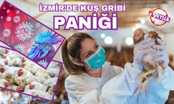 İzmir'de tavuk vebası paniği!