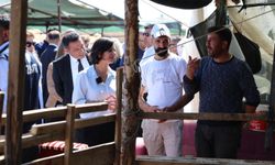 Kurban Bayramı öncesi örnek uygulama