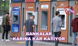 Bankalar karına kar katıyor