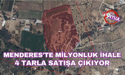 Menderes'te milyonluk ihale: 4 tarla satışa çıkıyor
