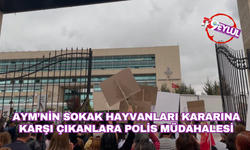 AYM’nin sokak hayvanları kararına karşı çıkanlara polis müdahalesi