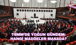 TBMM'nin gündeminde bu hafta hangi konular yer alıyor?