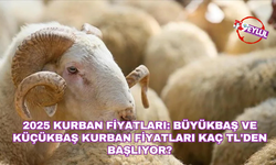 2025 Kurban fiyatları: Bu sene büyükbaş ve küçükbaş kurban fiyatları kaç TL'den başlıyor?