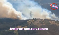 İzmir'de orman yangını