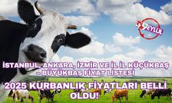 2025 Kurbanlık Fiyatları Belli Oldu: İstanbul, Ankara, İzmir ve İl İl Küçükbaş – Büyükbaş Fiyat Listesi
