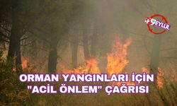 Orman yangınları için "acil önlem" çağrısı